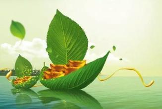 竹葉上的金元寶生物質顆粒生產(chǎn)線