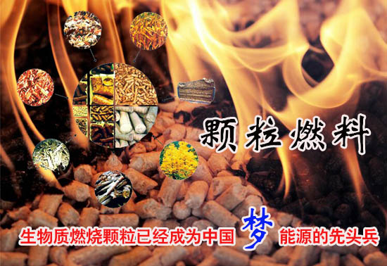 生物質燃料顆粒多少錢一噸！