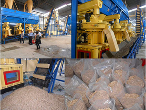 一個案例接著一個案例代表生物質(zhì)燃料顆粒機鋒芒畢露